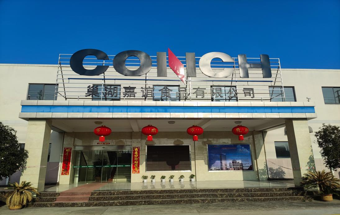 ​锚定开局谋新篇，巢湖嘉谊擂响奋进战鼓